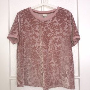 A New Day Velvet Top